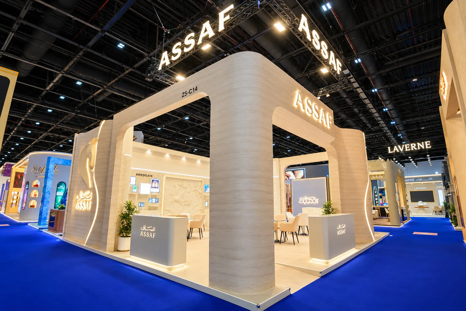 ASSAF project view 2