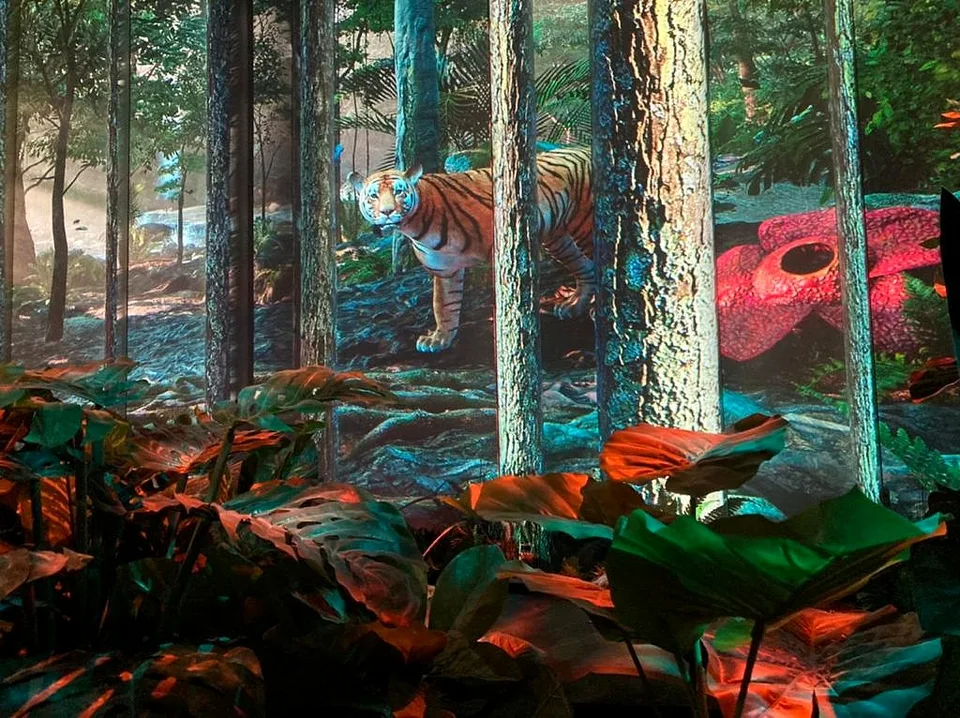 Malaysia Pavilion — 5D Forest project view 5