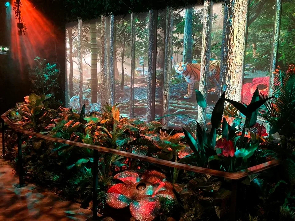 Malaysia Pavilion — 5D Forest project view 6